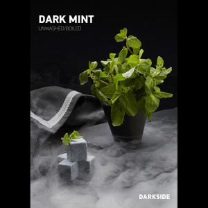 Табак Darkside CORE (MEDIUM) 250г - Dark Mint (мята)