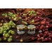 Табак WTO Nicaragua 20г - Gooseberry (Крыжовник)