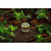 Табак WTO Tanzania 20г - Peper mint (Перечная мята)