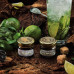 Табак WTO Nicaragua 20г - Mojito (Мохито)