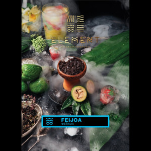 Табак Element Вода 40г - Feijoa (Фейхоа)