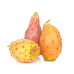 Табак Tangiers 50г - BIRQUQ Cactus Fruit (Кактусовая Груша)