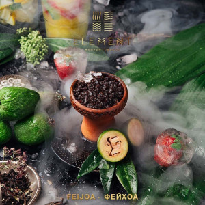 Табак Element Земля 25г - Feijoa (Фейхоа)