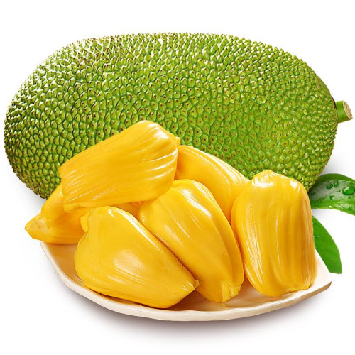 Табак Tangiers АКЦИЗ 100г - NOIR Jackfruit (Джекфрут)