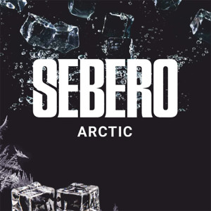 Табак Sebero 100г - Arctic (Лед)