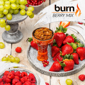 Табак Burn 200г - Berry Mix (Клубника, Малина, Виноград)