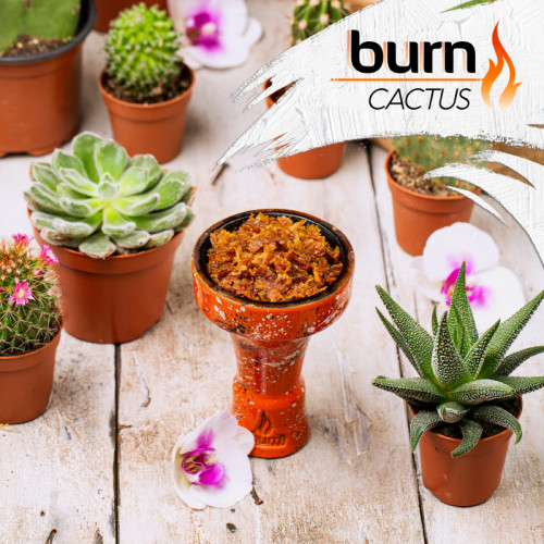 Табак Burn 200г - Cactus (Кактус)