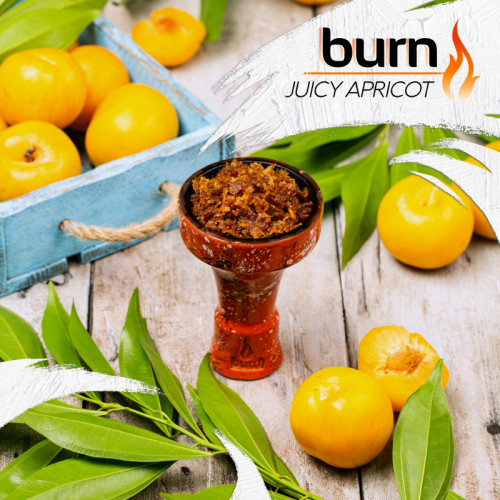 Табак Burn 200г - Juicy Apricot (Спелый абрикос)