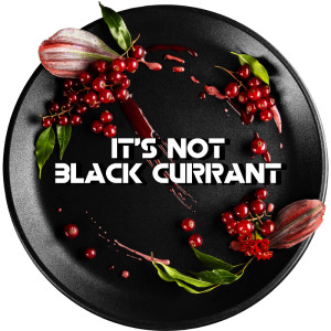 Табак Black Burn 25г - Red Currant (Красная смородина)