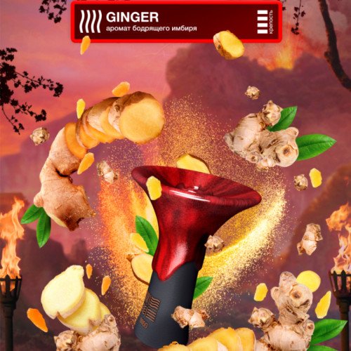 Табак Element Огонь 25г - Ginger (Имбирь)