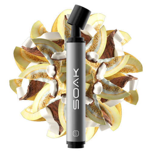 Электронная сигарета SOAK Pods S 2500 затяжек - Melon Coconut (Кокосовая дыня)