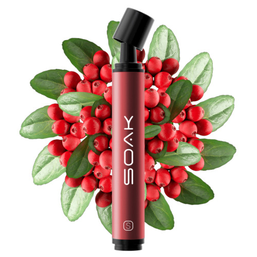 Электронная сигарета SOAK Pods S 3500 затяжек - Wild Cranberry (Дикая Клюква)