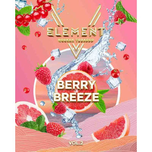 Табак Element 5 Элемент 25г - Berry Breeze (Малина Цитрус Смородина)