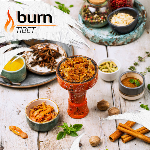 Табак Burn 20г - Tibet (Микс индийских специй)