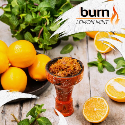 Табак Burn 20г - Lemon Mint (Лимон мята)