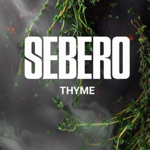 Табак Sebero 40г - Thyme (Чабрец)