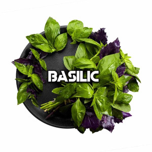 Табак Black Burn 25г - Basilik (Базилик)