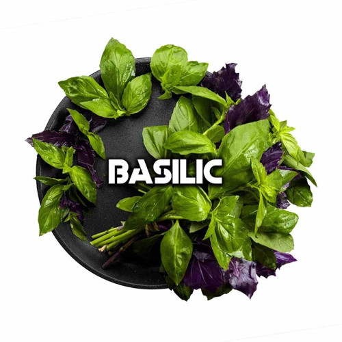 Табак Black Burn 25г - Basilik (Базилик)