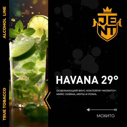 Табак JENT 25г - Havana 29° (Мохито)