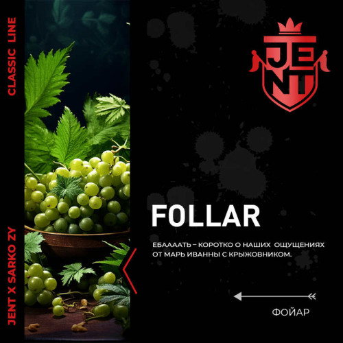Табак JENT 25г - Follar (Марь Иванна с крыжовником)