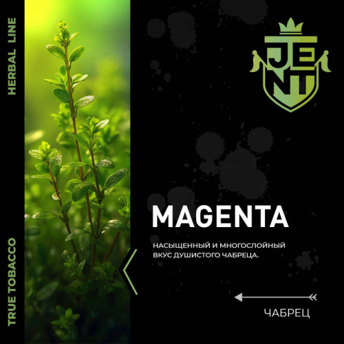 Табак JENT 25г - Magenta (Чабрец)