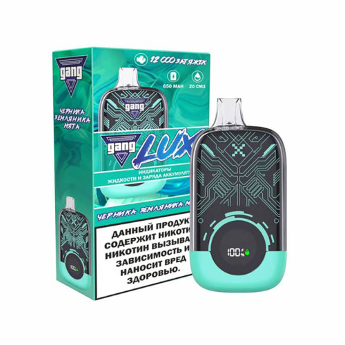 Электронная сигарета GANG LUX 12000 затяжек - Черника земляника мята