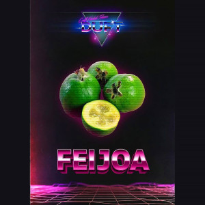 Табак Duft 25г - Feijoa (Фейхоа)