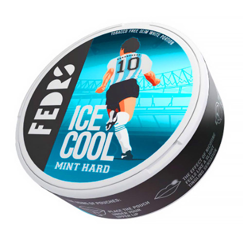 Жевательная смесь FEDRS ICE COOL - Mint hard № 10 50г