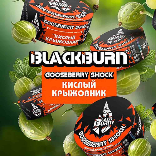 Табак Black Burn 100г - Кислый крыжовник (Gooseberry shock)