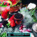 Табак Element Вода 40г - Watermelon Holls (Арбузный холлс)