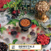 Табак Element Воздух 40г - Berrytale (Ежевика Красная смородина)