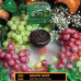 Табак Element Земля 40г - Grape Mint (Виноград Мята)
