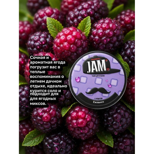 Табак JAMM 30г - Ежевика (Blackberry)